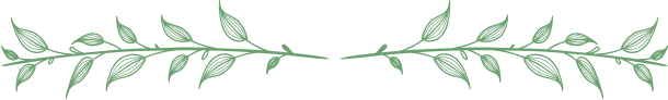 leaf_line2